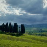 Que coberturas debe incluir un buen seguros de decesos