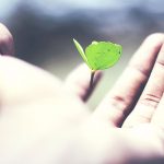 para que sirve un seguro