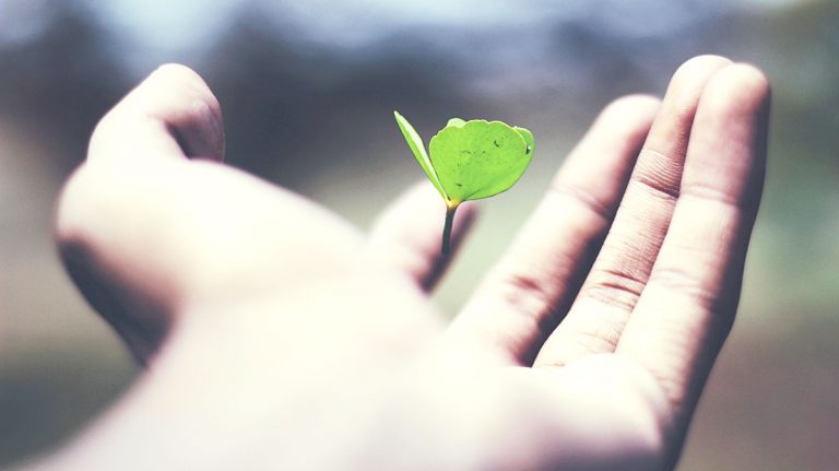 para que sirve un seguro