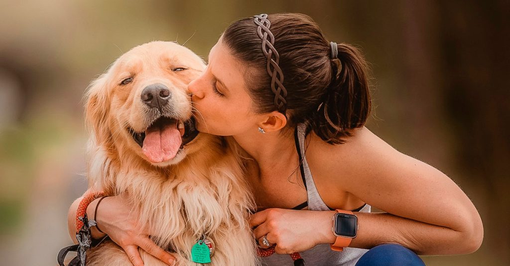 5 razones para contratar un seguro de mascotas: ventajas que te dan tranquilidad razones y ventajas de contratar un seguro para mascotas