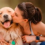 razones y ventajas de contratar un seguro para mascotas